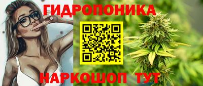 дживик Можга