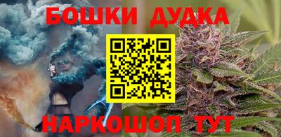 стаф Моздок