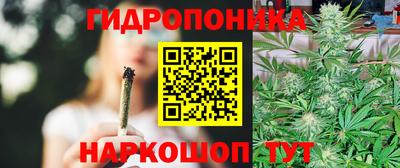 стаф Моздок