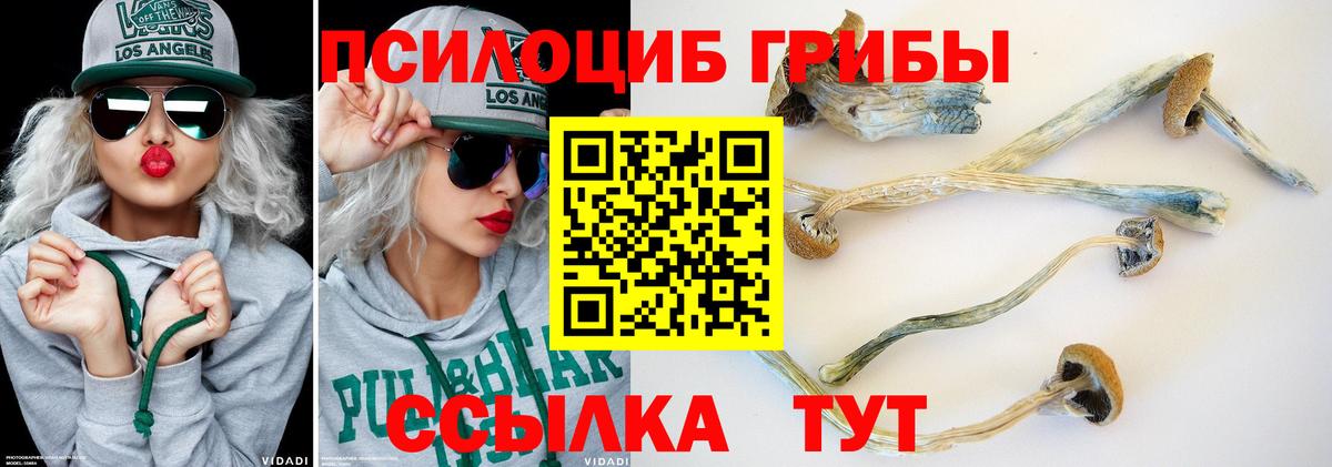 купить  цена  Вход с VPN  Выкса  Псилоцибиновые грибы прущие грибы 